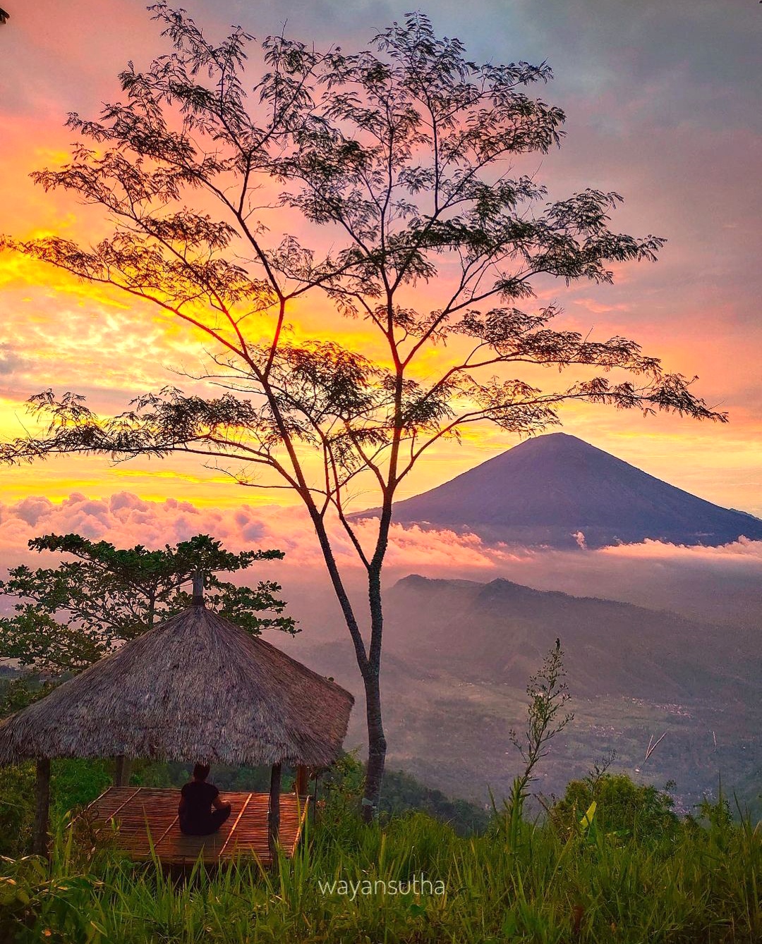 KEINDAHAN LAHANGANSWEET DIDUSUN GULINTEN ABANG KARANGASEM